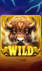 Buffalo Power Claw: Hold and Win